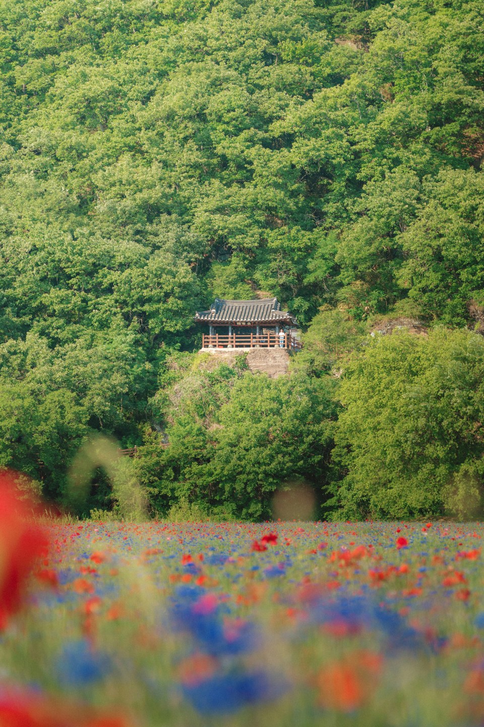 South Korea