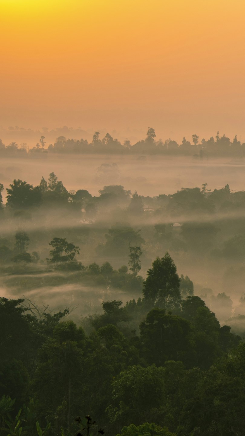 Cameroon