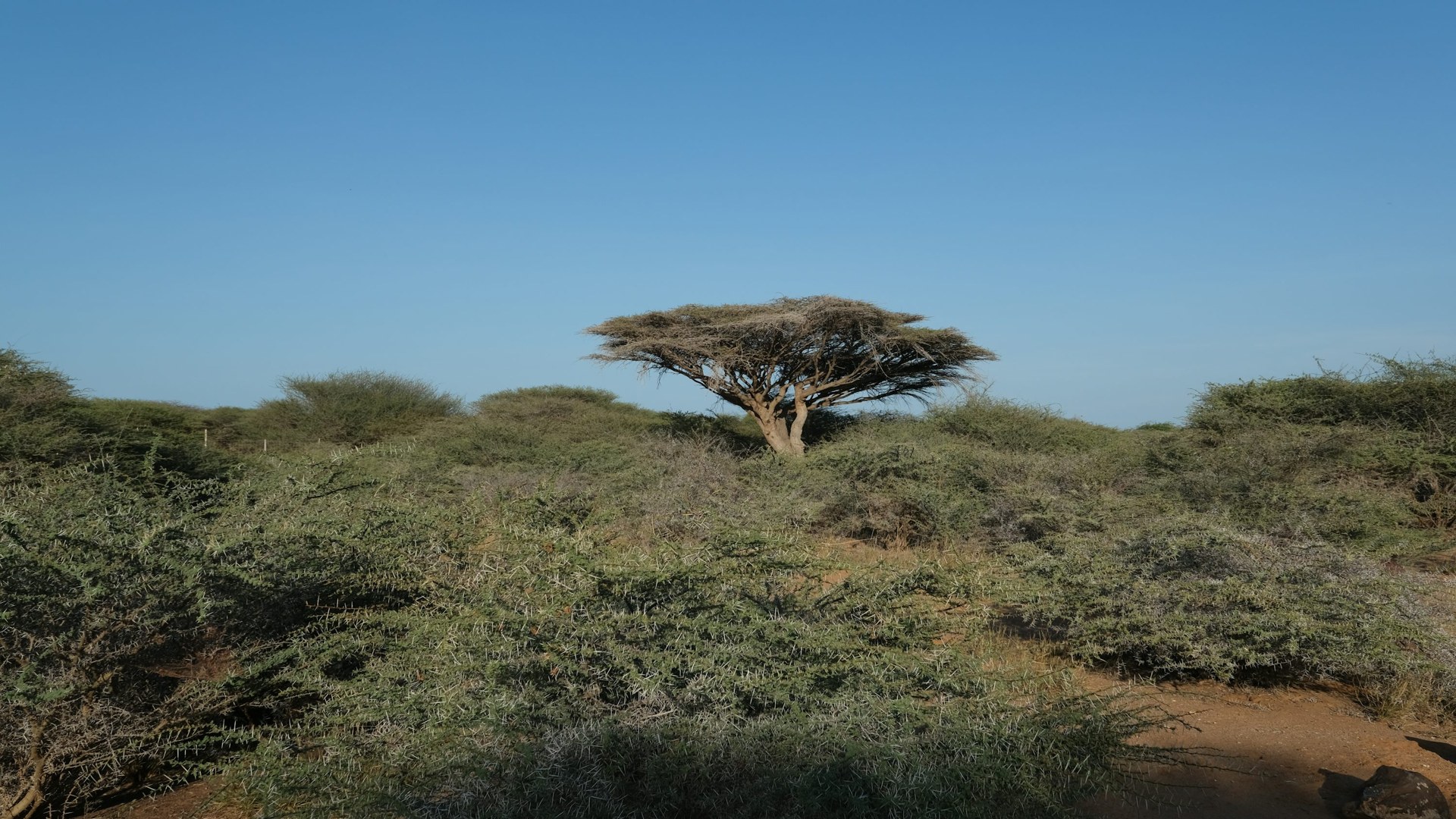 Djibouti