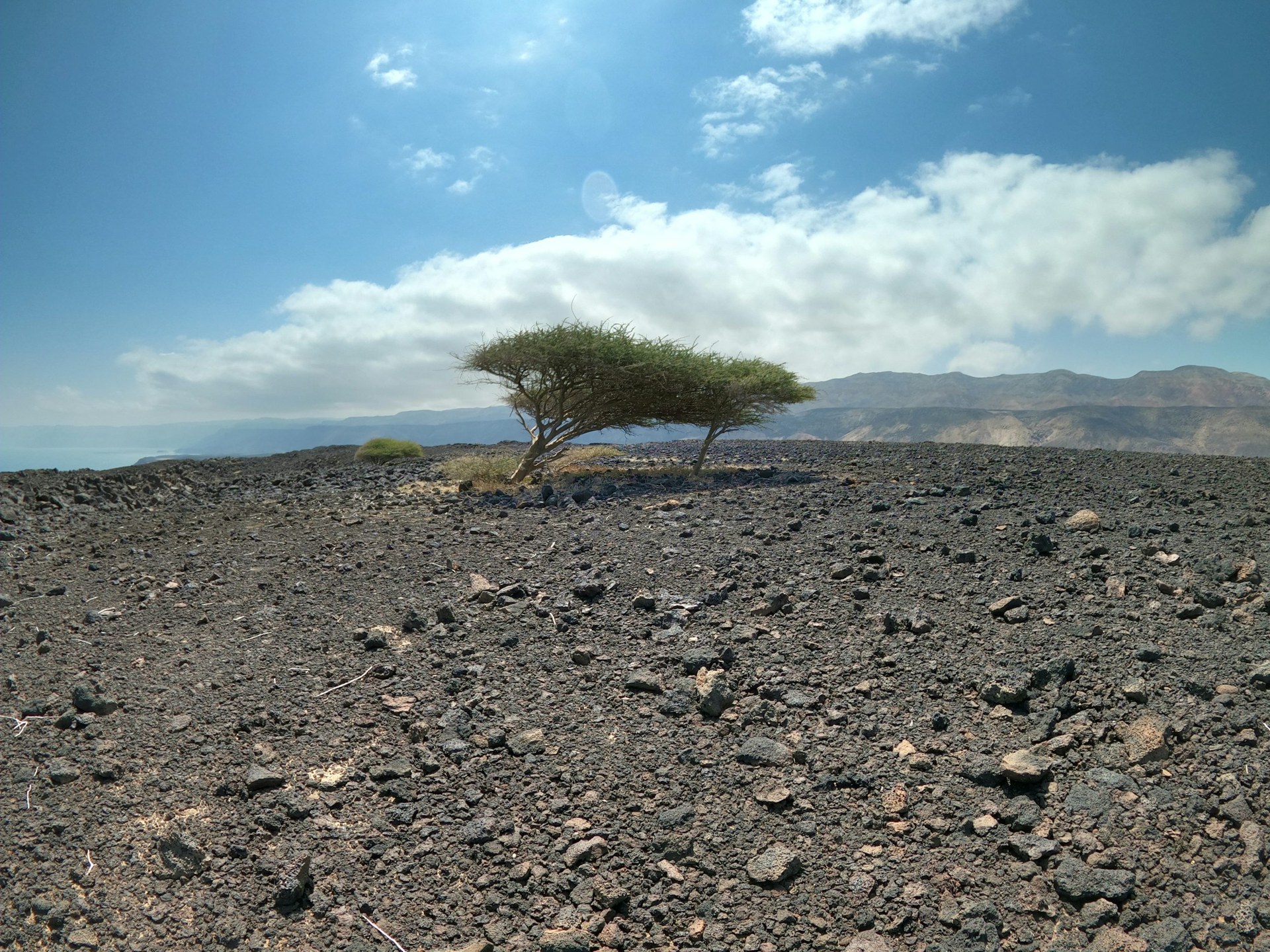 Djibouti