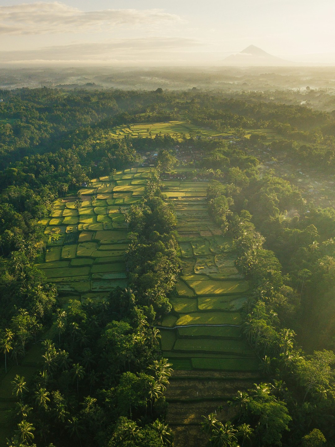 Indonesia