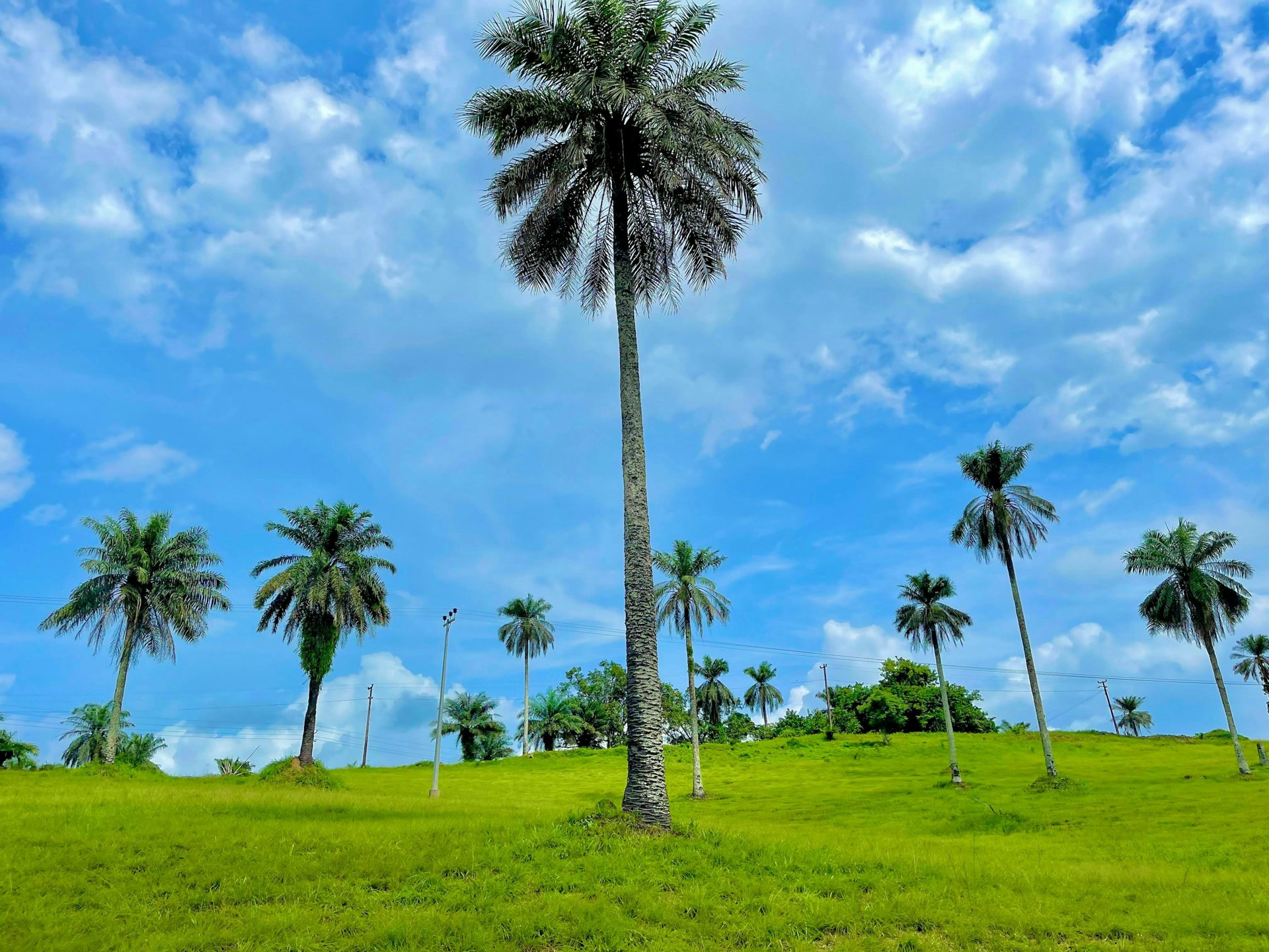 Liberia