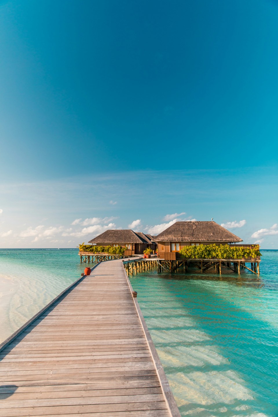 Maldives