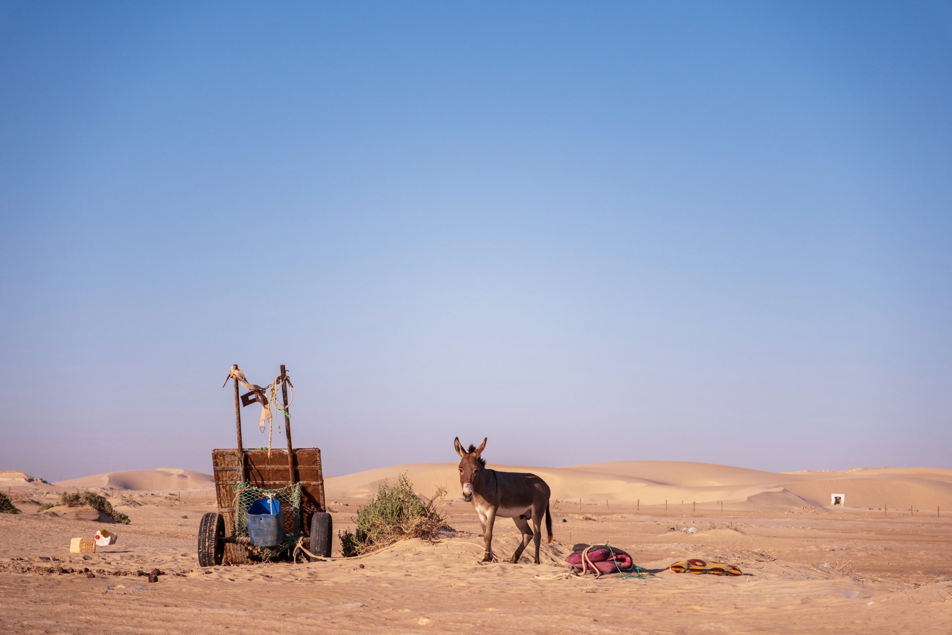 Mauritania
