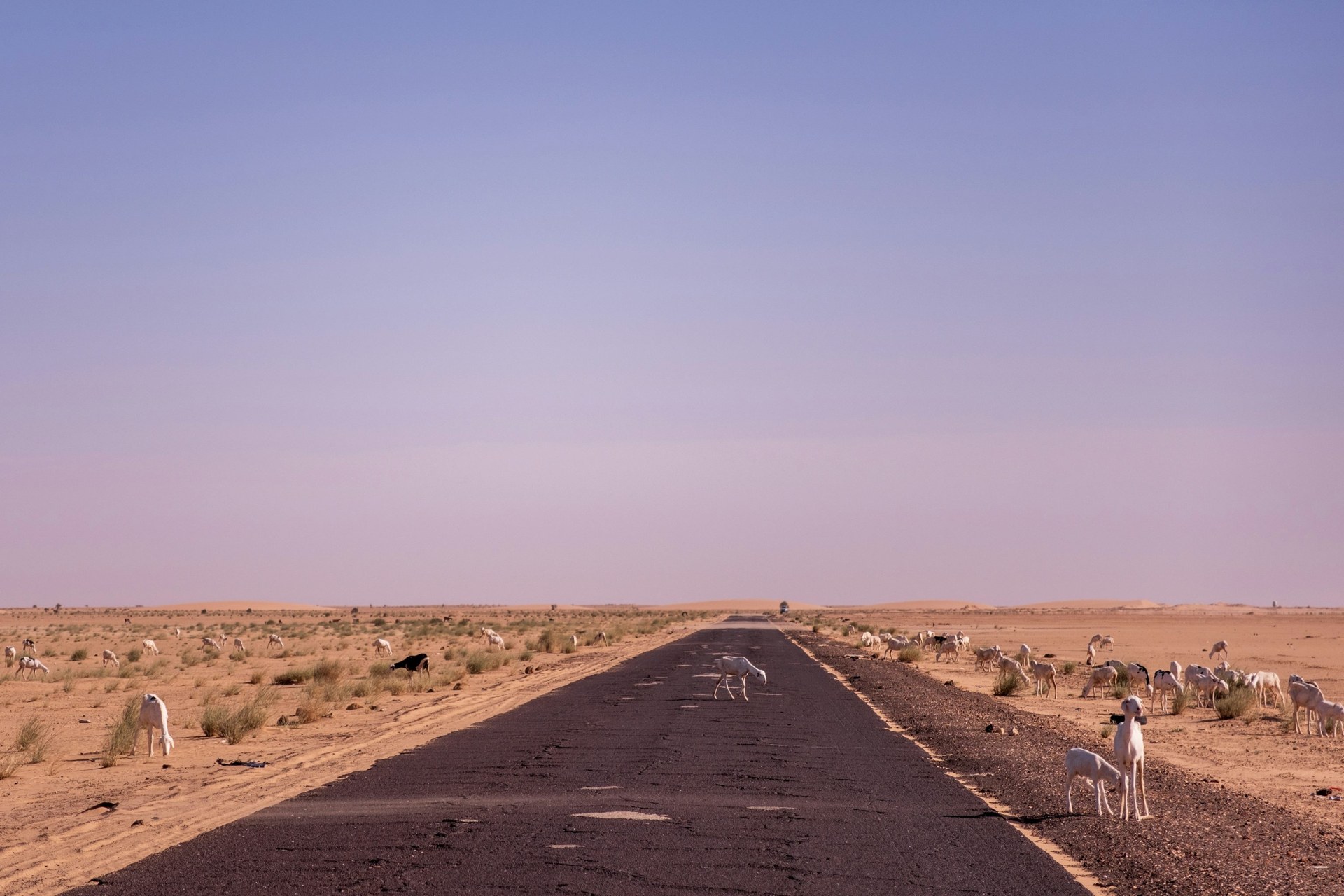 Mauritania
