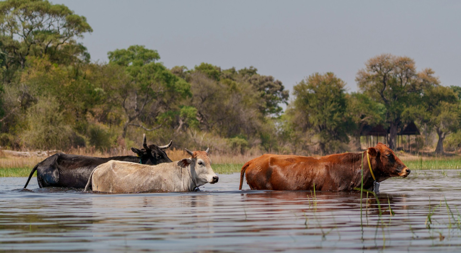 Botswana