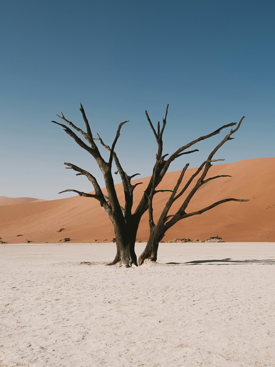 Namibia