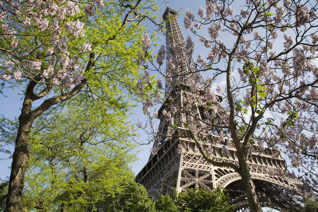 Paris by Night - Eiffel Tower, Seine & Endless Romance