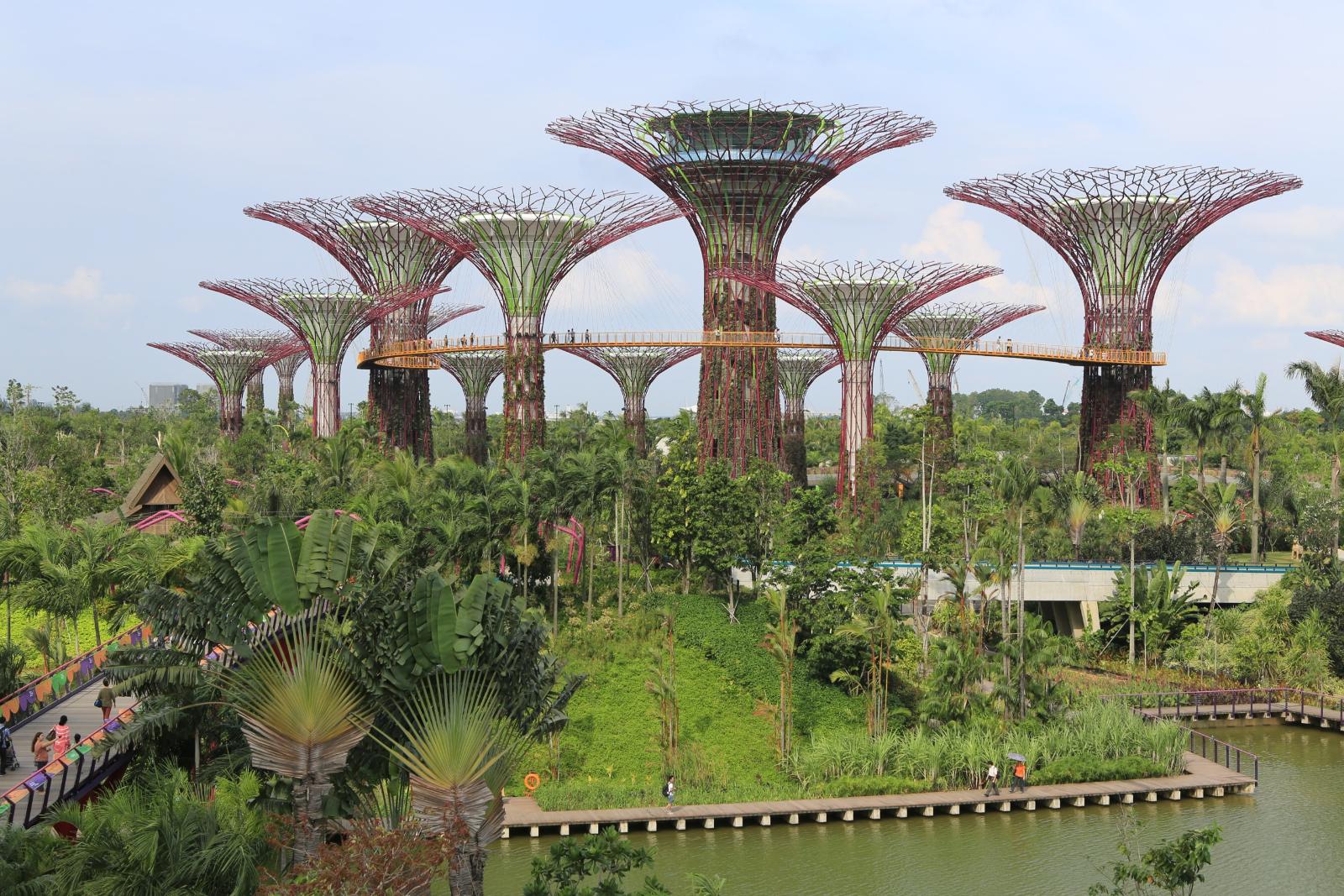 Singapore’s First Rainforest Treehouse