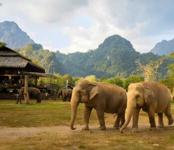 Adventure with Elephant Hills in Thailand