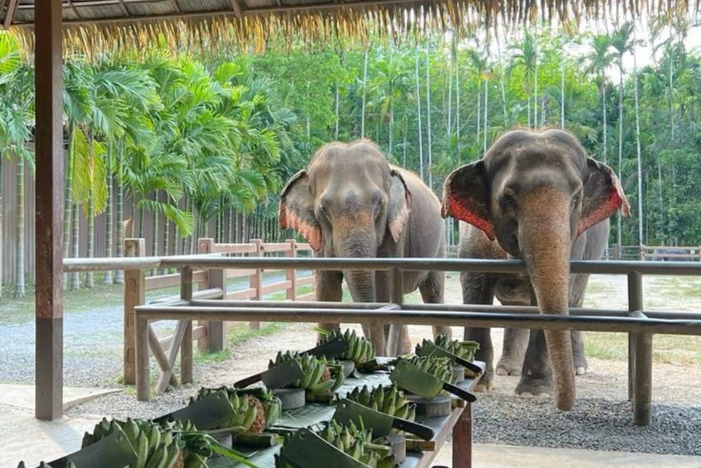 Adventure with Elephant Hills in Thailand
