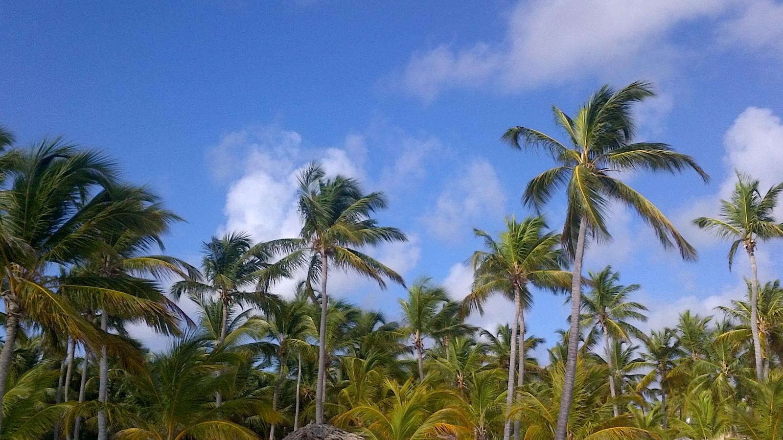 Luxurious All-Inclusive Punta Cana Escape