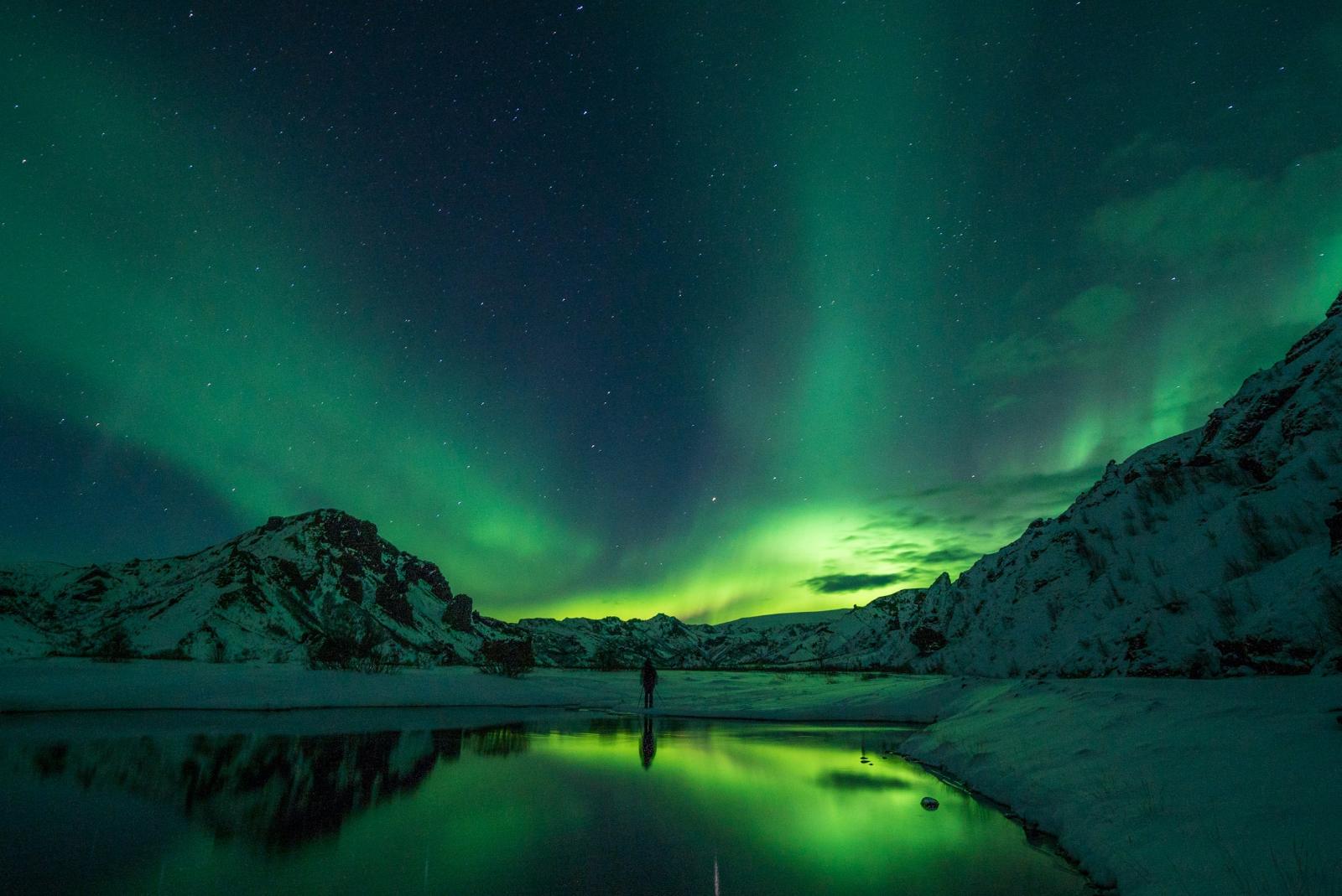 Forest Lagoon Iceland Escape