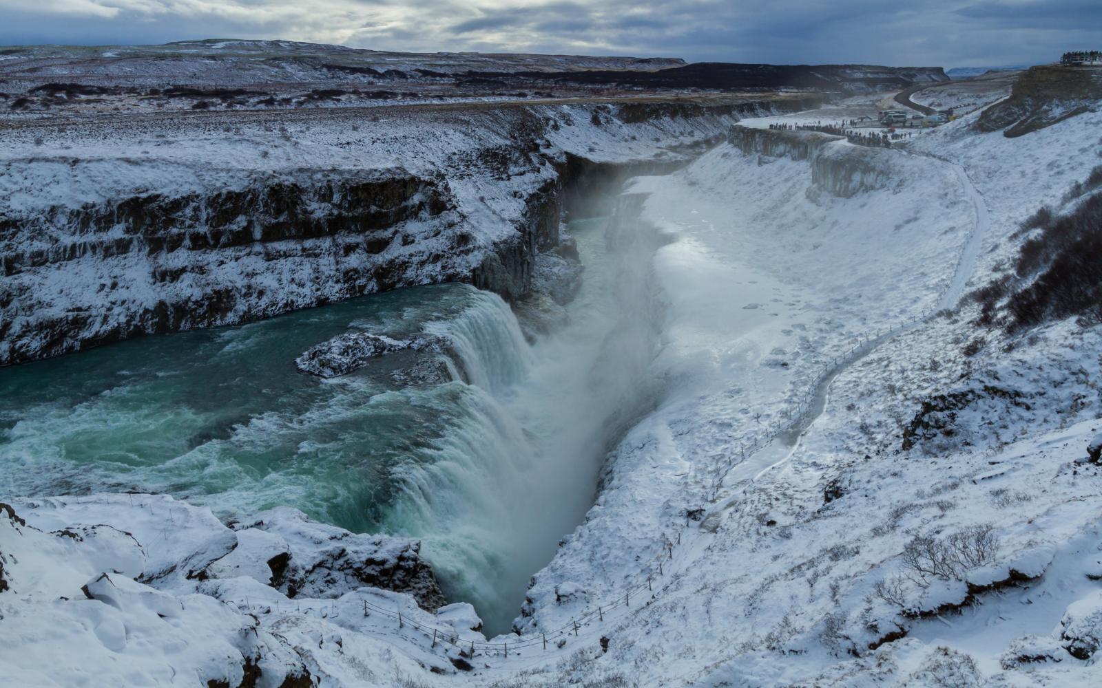 Forest Lagoon Iceland Escape
