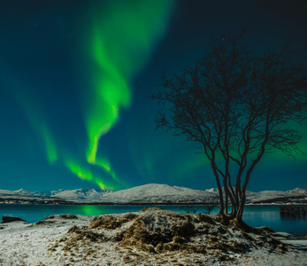 Tromso : Where Nights Glow with Magic