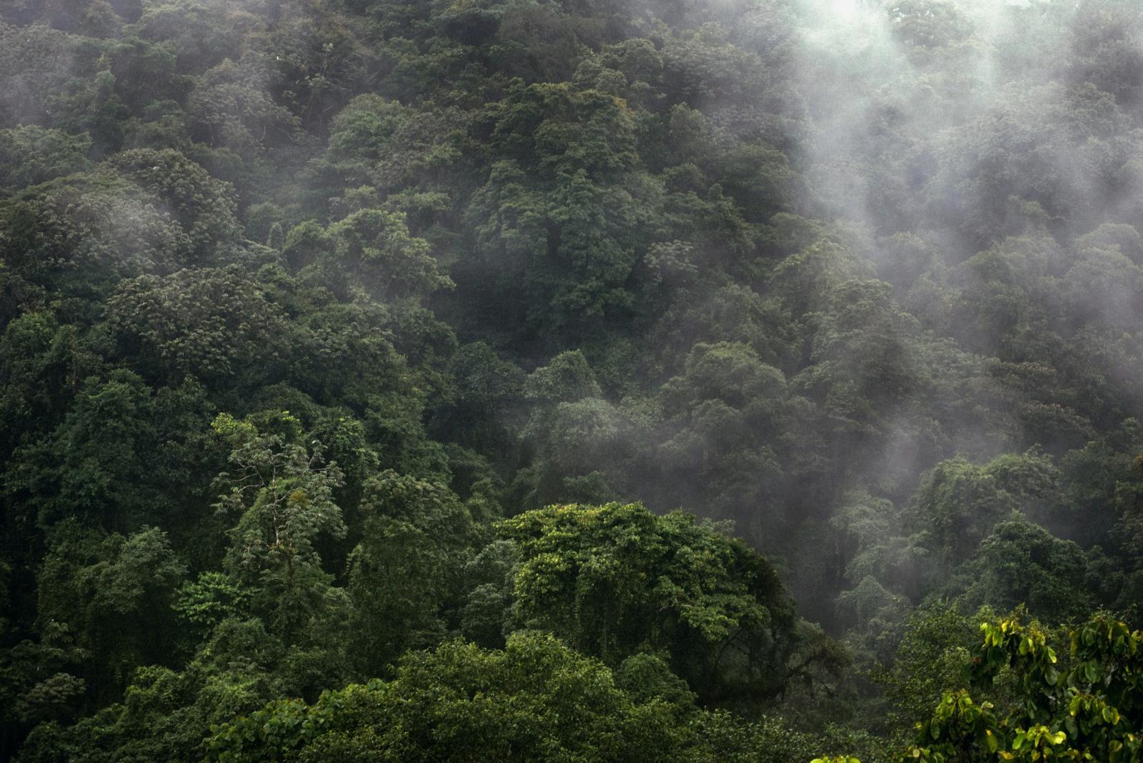 Rainforests, Hot Springs and a Glass Cabin Holiday to Costa Rica