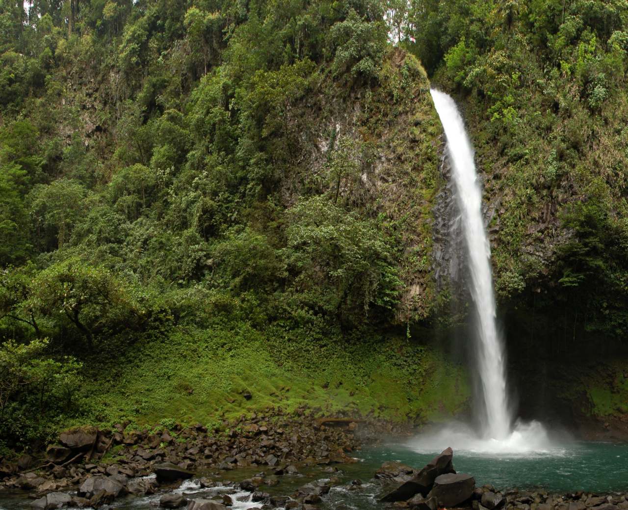 Rainforests, Hot Springs and a Glass Cabin Holiday to Costa Rica