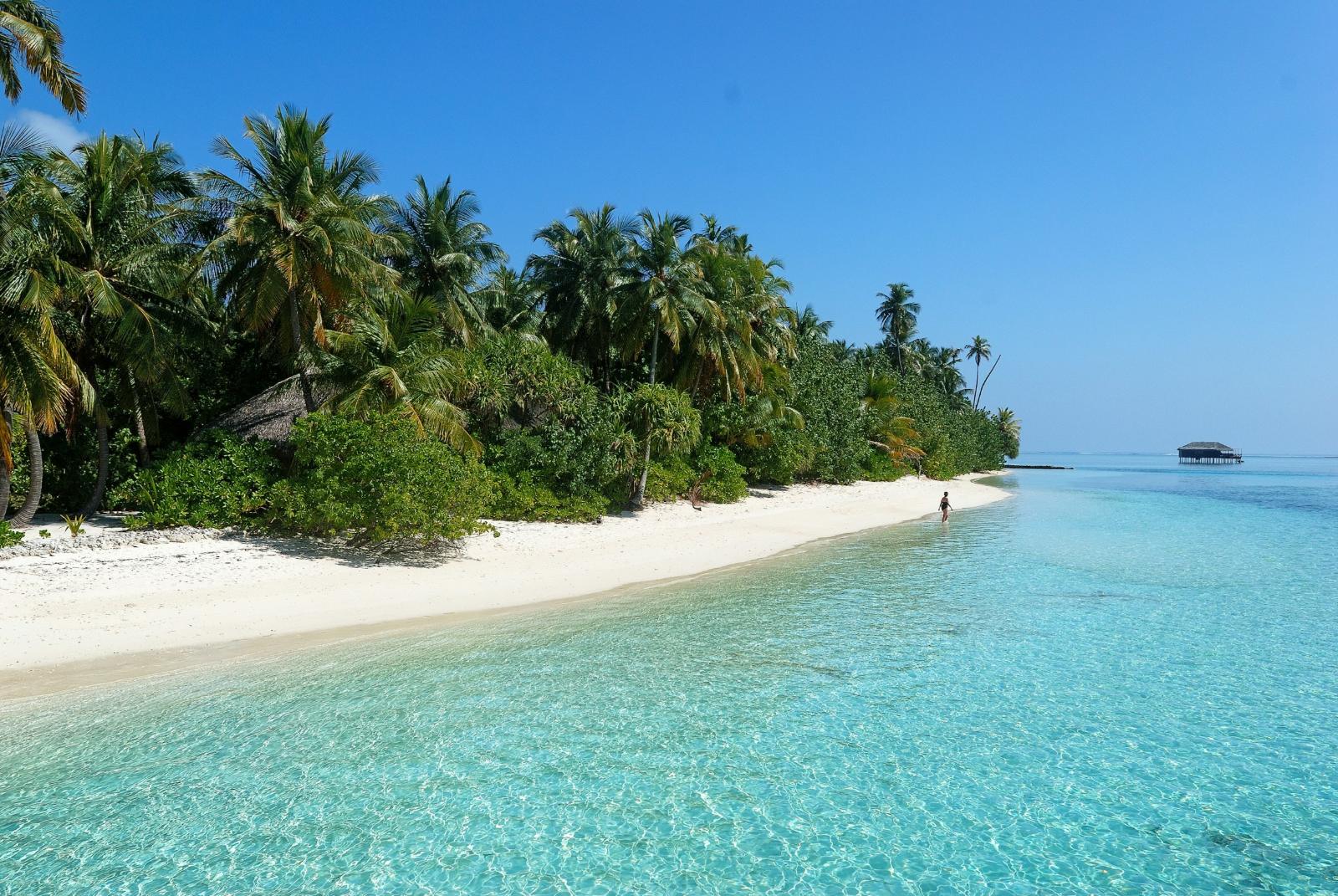 Dubai & Maldives