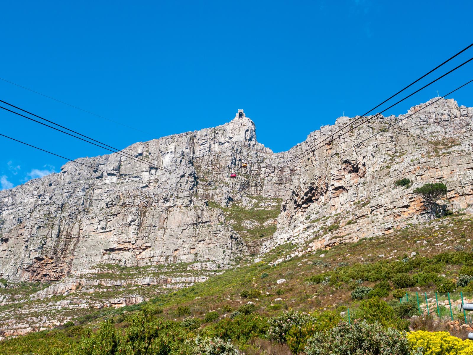 Wild and Wonderful South Africa