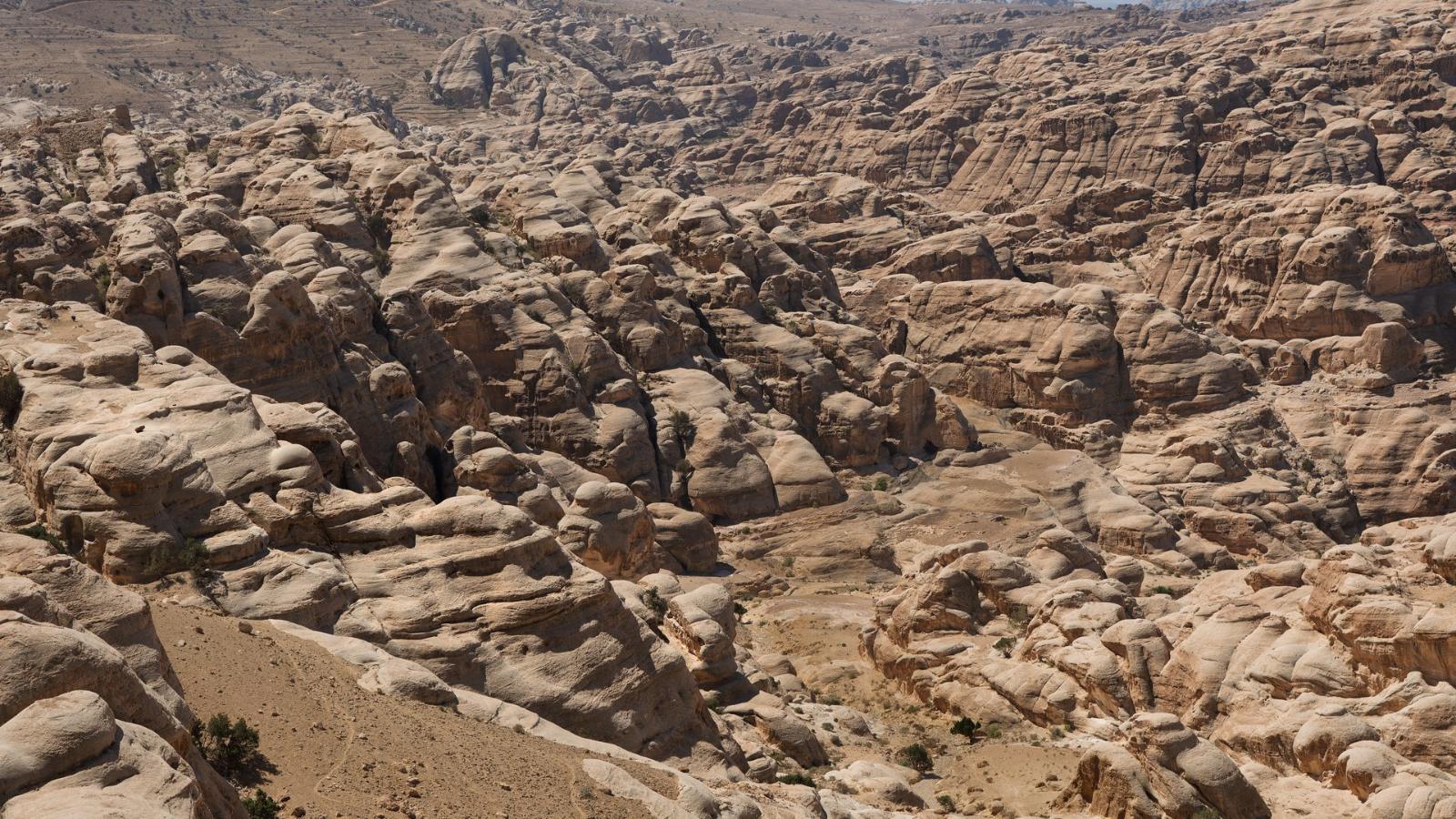 Dead Sea, Petra & Glass Dome Glamping