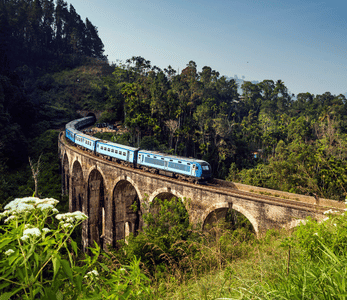 5 STAR ALL-Inclusive 14-night Sri Lanka