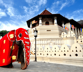 5 STAR ALL-Inclusive 14-night Sri Lanka