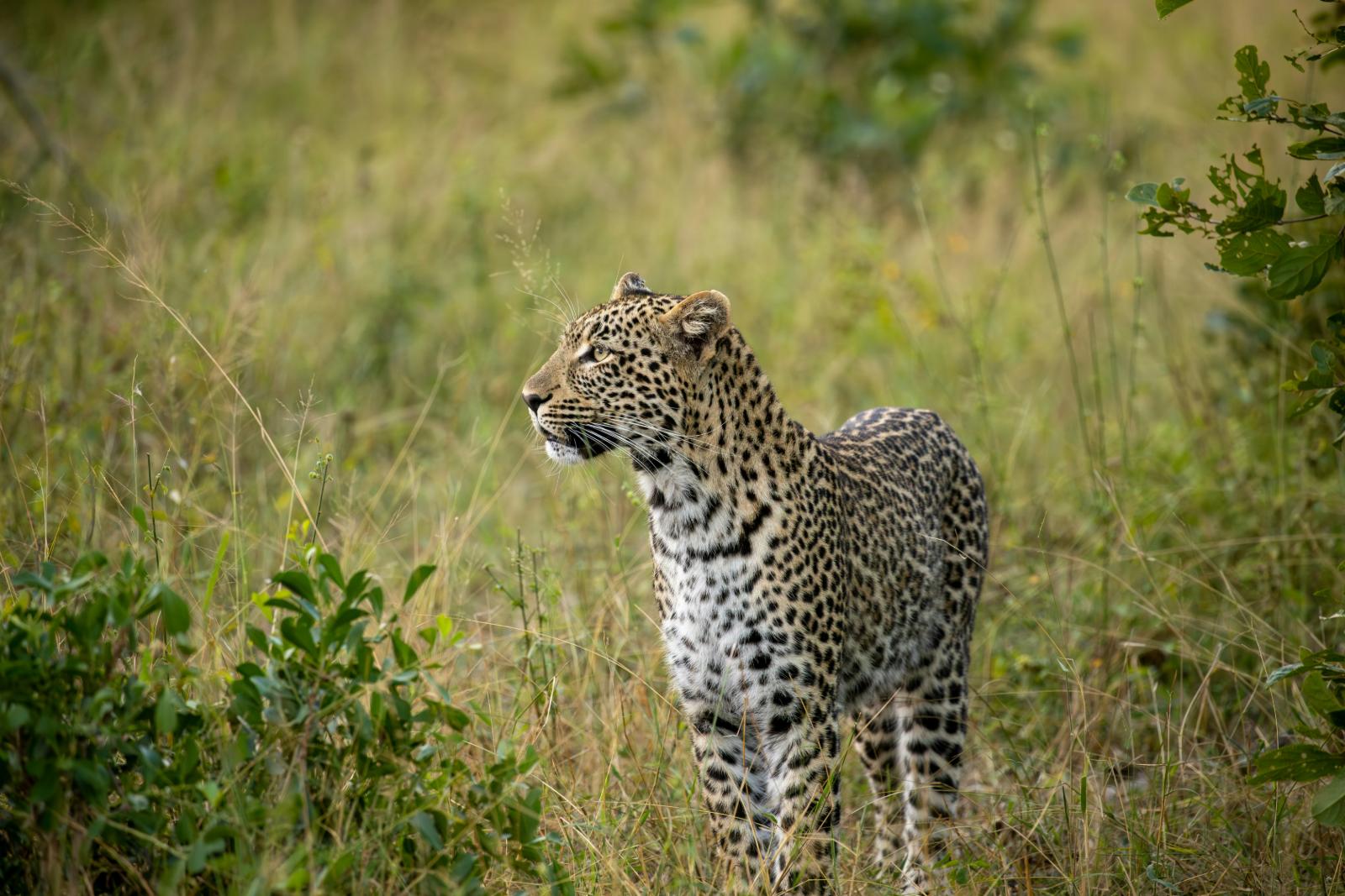 Tanzania & Zanzibar
