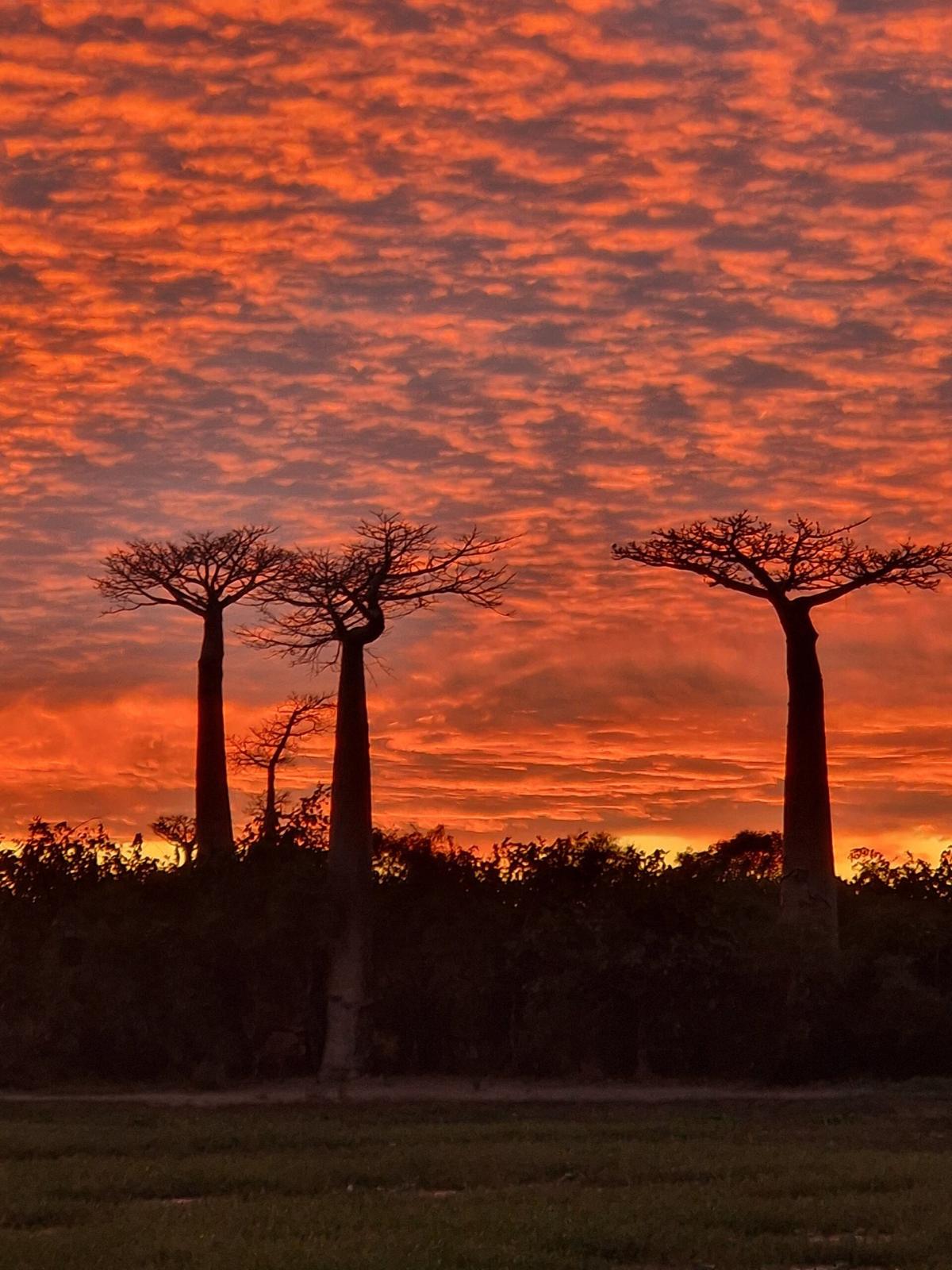 Madagascar: Island of Lemurs, Baobabs & Wild Adventures