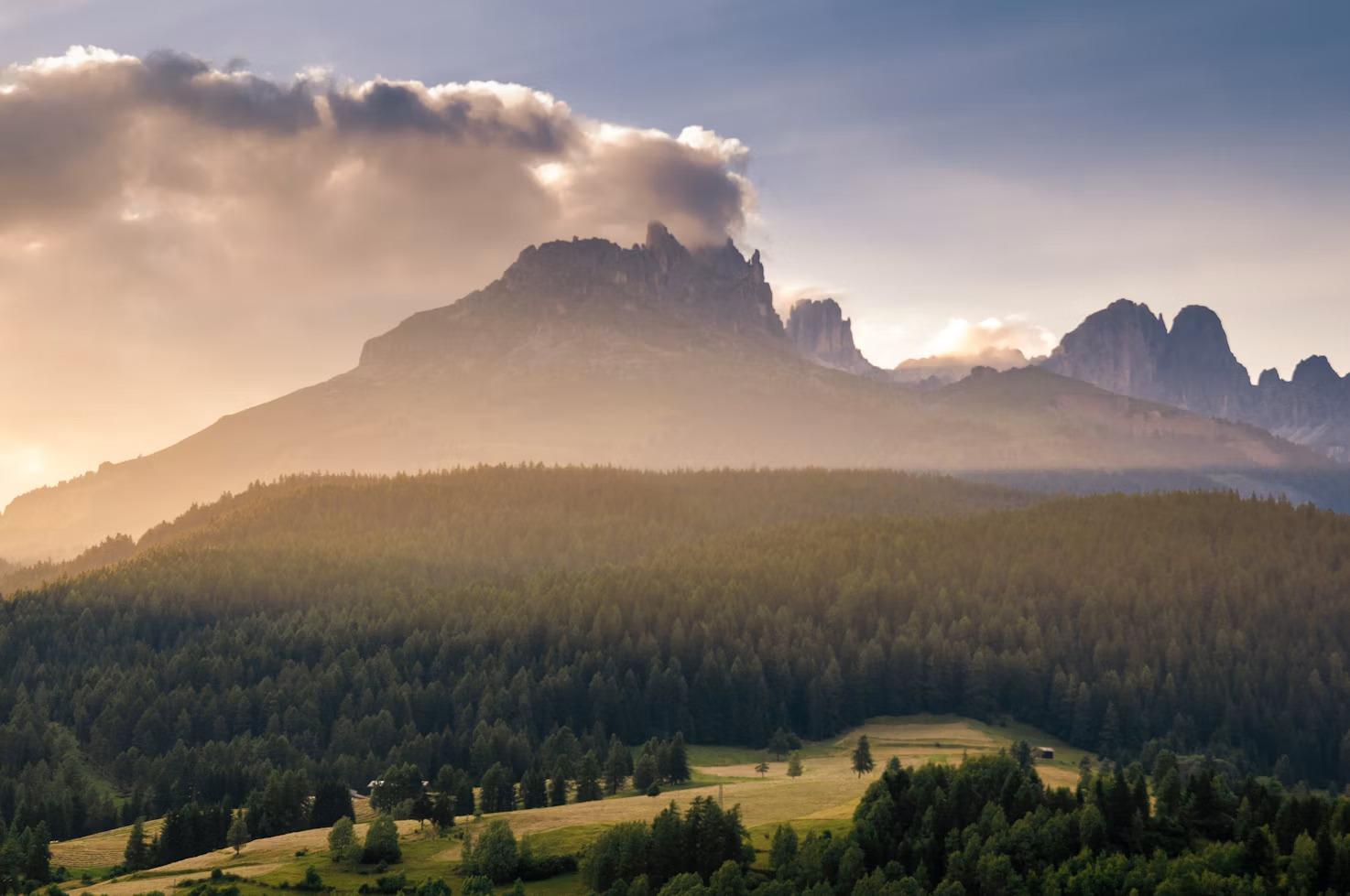 Sleep Among the Treetops in Italy