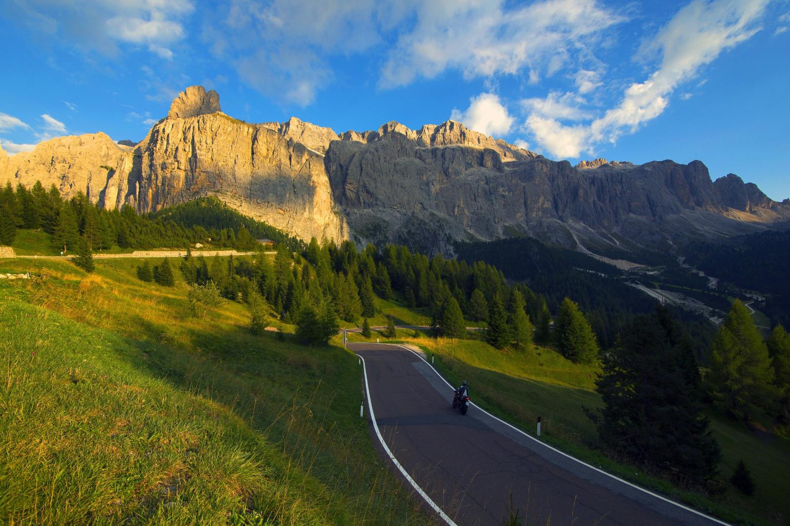 Sleep Among the Treetops in Italy